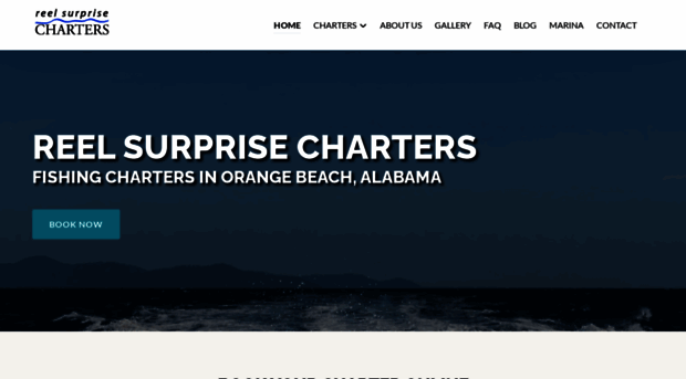 reelsurprisecharters.com