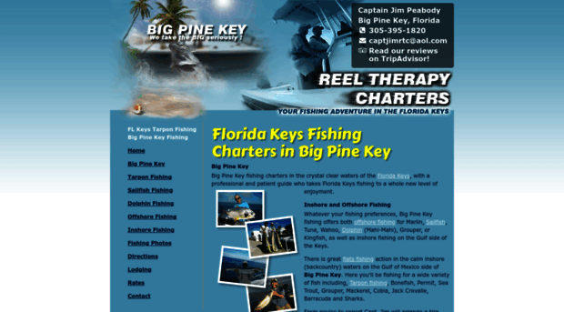 reeltherapyfishingcharters.com