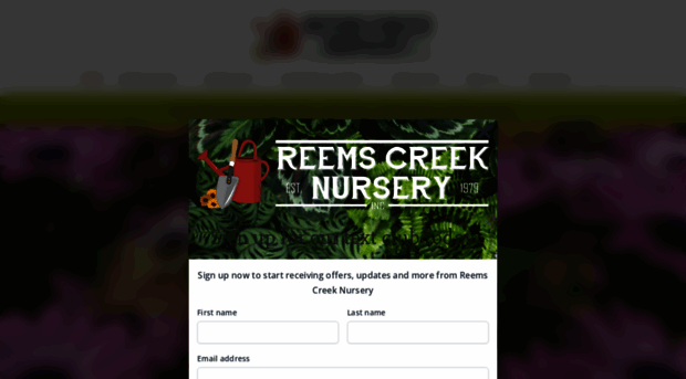 reemscreek.com