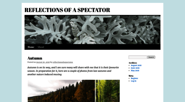 reflectionsofaspectator.wordpress.com