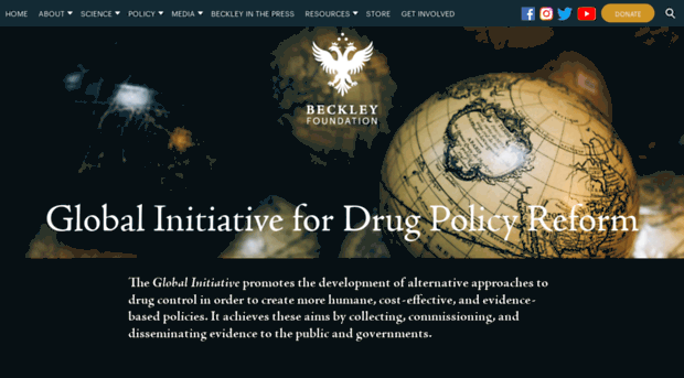 reformdrugpolicy.com