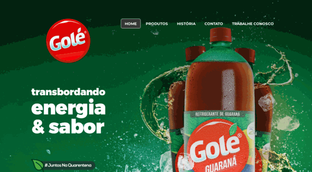 refrigerantesgole.com.br