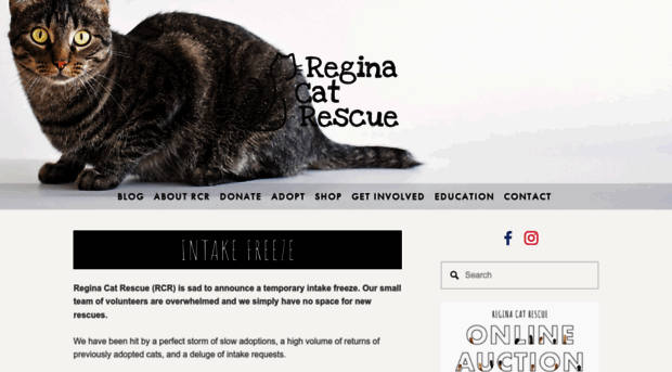 reginacatrescue.com