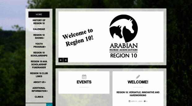 region10arabians.com