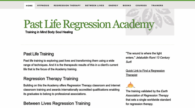 regressionacademy.com