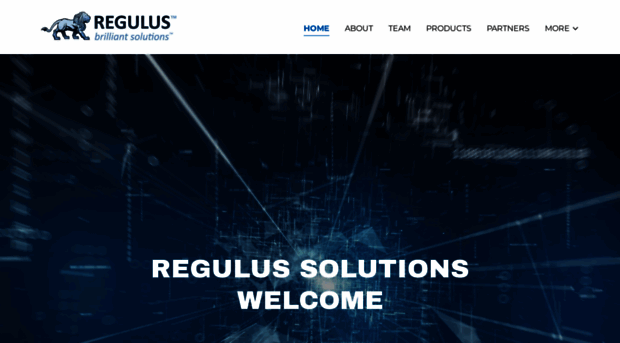 regulussolutions.com