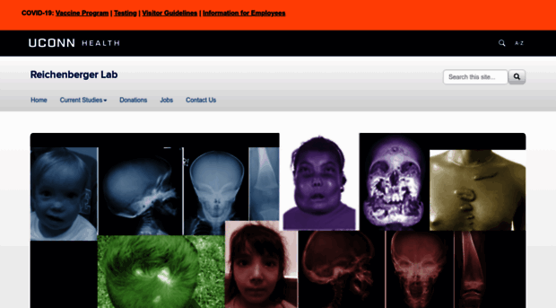 reichenbergerlab.uchc.edu