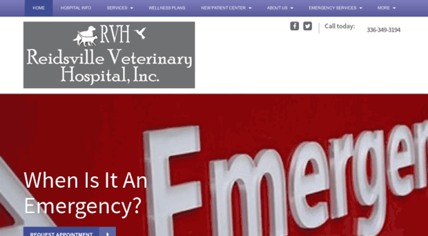 reidsvillevet.com