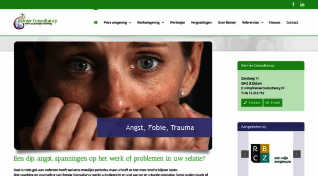 reinierconsultancy.nl