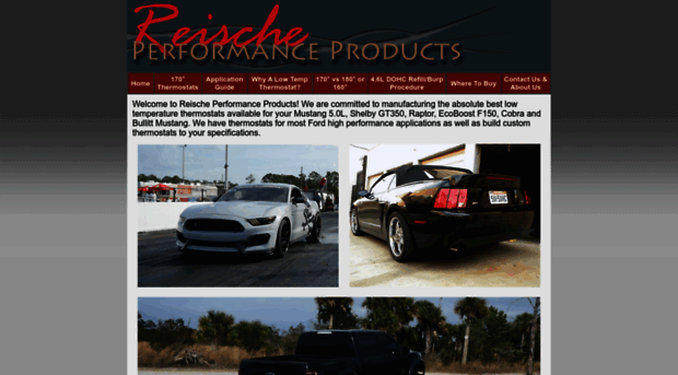 reischeperformance.com