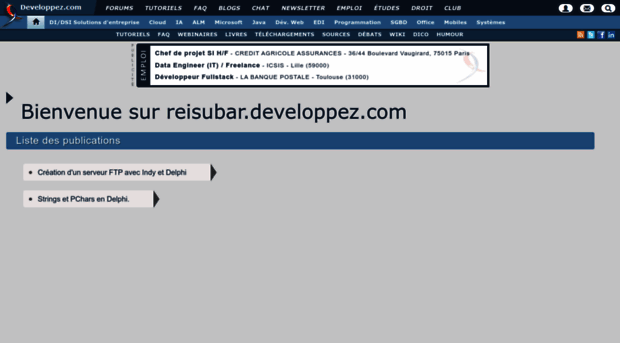reisubar.developpez.com