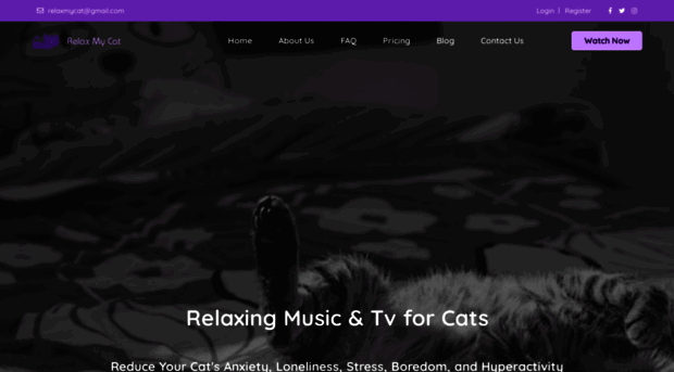 relaxmycat.com