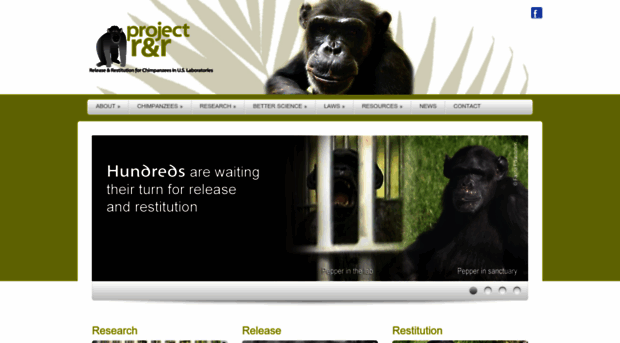 releasechimps.org