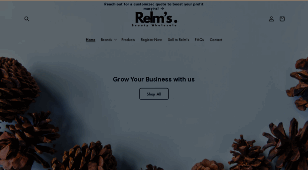 relmsbeautywholesale.com