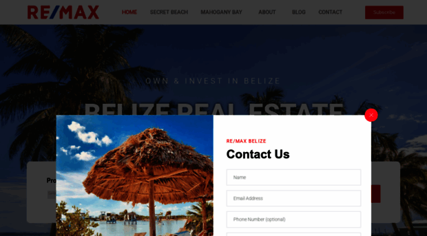 remaxbelizerealestate.com