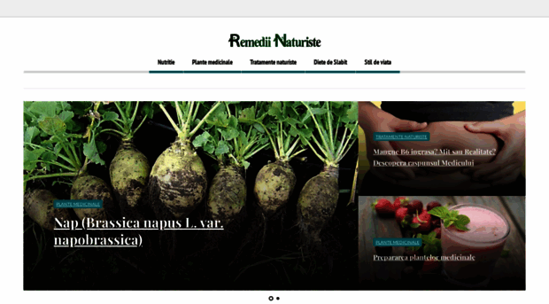remediinaturiste.net