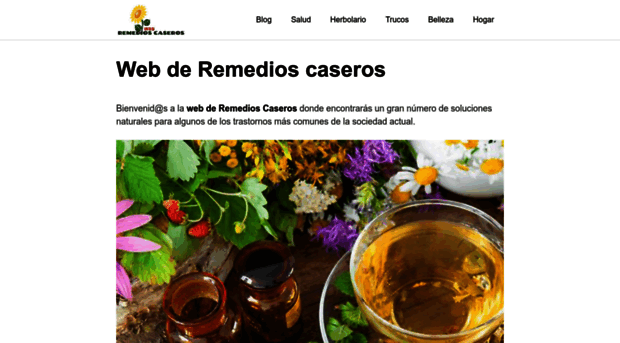 remedioscaseros-web.com