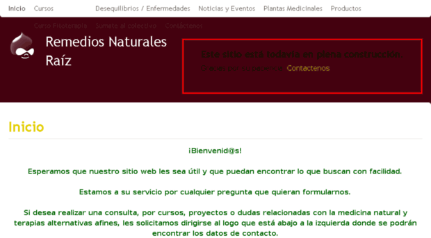remediosnaturales.in