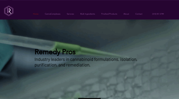 remedyprocessors.com