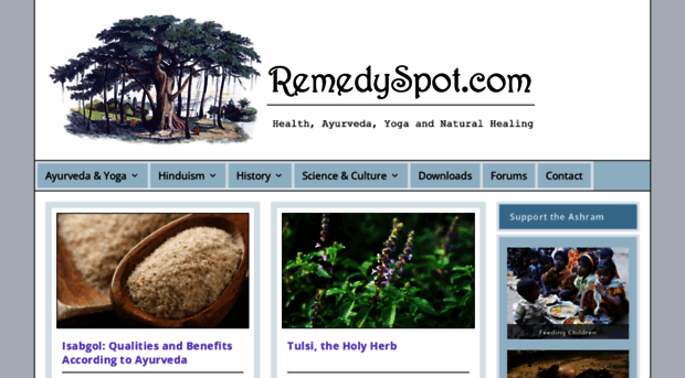 remedyspot.com