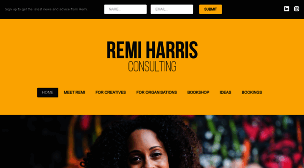 remiharrisconsulting.com