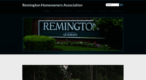 remingtonhoa.com