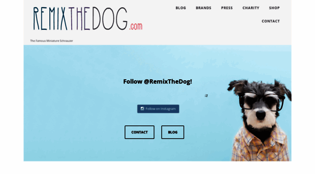 remixthedog.com