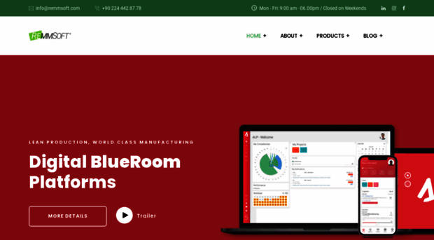 remmsoft.com