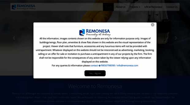 remonesa.com