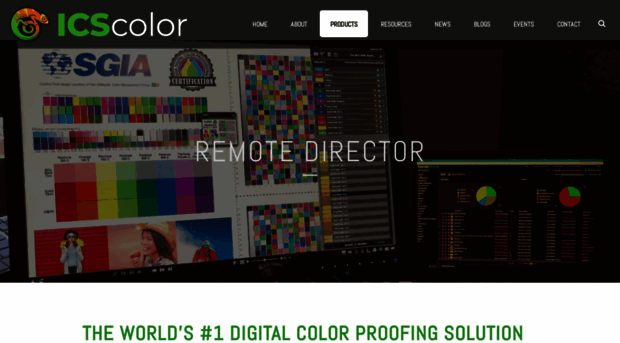 remotedirector.com