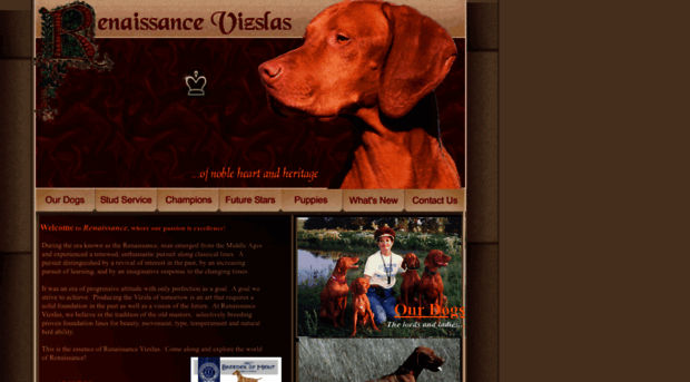 renaissancevizslas.com