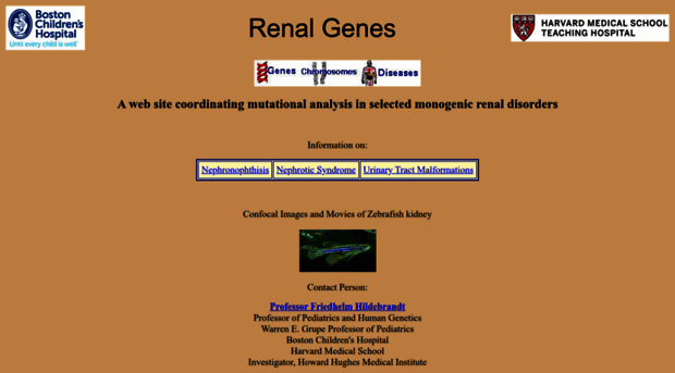 renalgenes.org