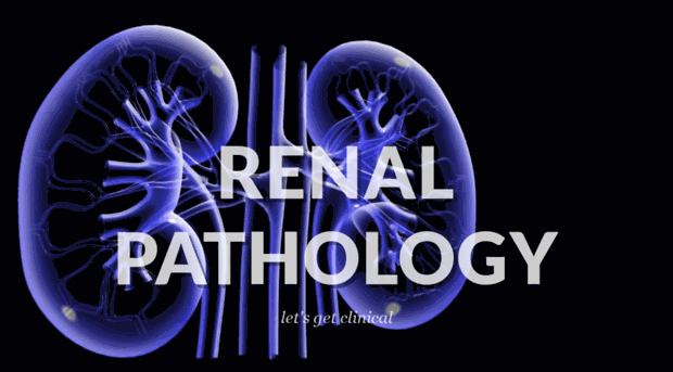 renalpathology.wordpress.com