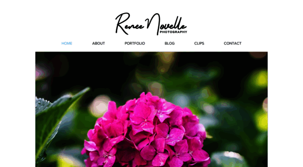 reneenovelle.com