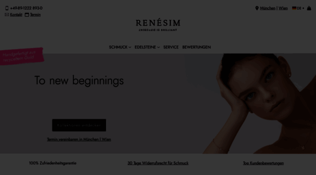 renesim.com