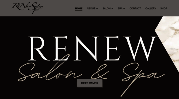 renewsalonandspa.com