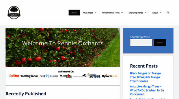 rennieorchards.com