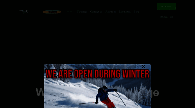 rentalsinwasaga.com