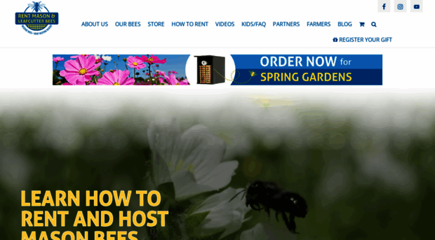 rentmasonbees.com