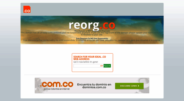 reorg.co