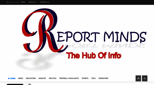 reportminds.com