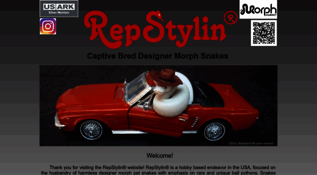 repstylin.com