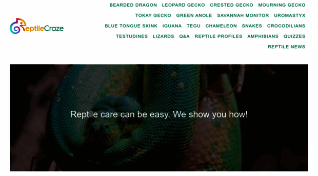 reptilecraze.com