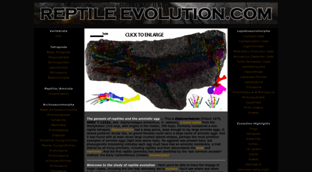 reptileevolution.com