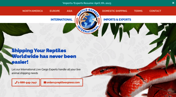 reptileinternational.com