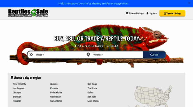 reptiles4sale.com