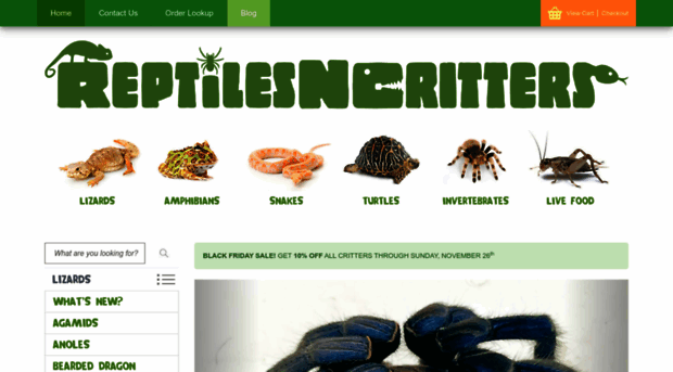 reptilesncritters.com