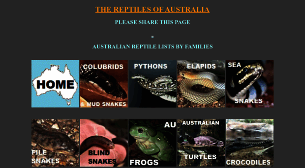 reptilesofaustralia.com