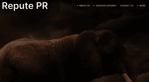 reputepr.com