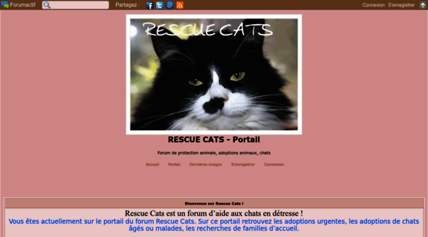 rescue-cats.forumactif.com